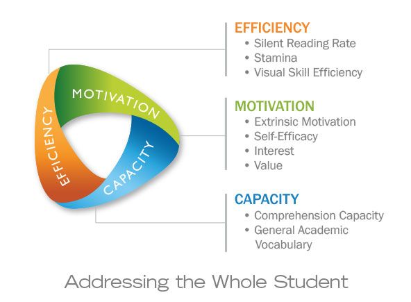 An infographic on a white background. At left is a looped triangular ribbon in gradient colors: orange labeled Efficiency, green labeled Motivation, and blue labeled Capacity. To the right are three colored headings with bullets. Efficiency: Silent Reading Rate, Stamina, Visual Skill Efficiency. Motivation: Extrinsic Motivation, Self-Efficacy, Interest, Value. Capacity: Comprehension Capacity, General Academic Vocabulary. Thin gray connector lines link the loop to the lists. Along the bottom, gray text reads: Addressing the Whole Student. Clean, modern design with ample white space.